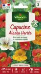 Fleurs - Capucine Alaska Variée - PACKAGING_RECTO